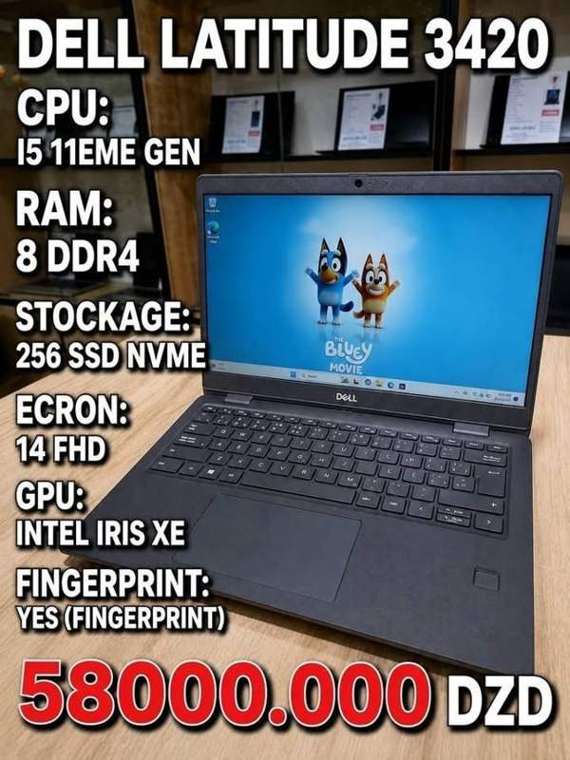 Dell Latitude 3420